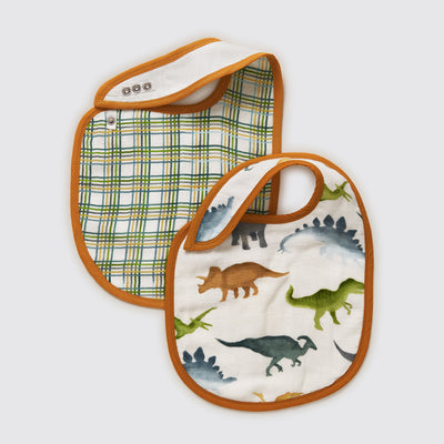 Dinosaurs Organic Bib Set