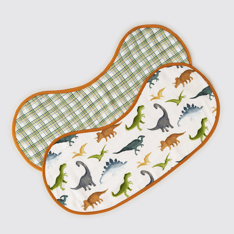 Dinosaurs Organic Burp Cloth/Bib Set