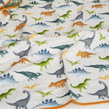 Dinosaurs Organic Reversible Blanket